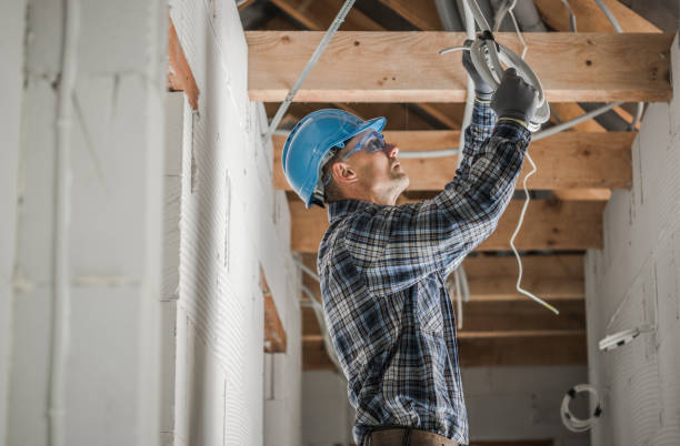 Best Electric Panel Repair  in Clifton, IL